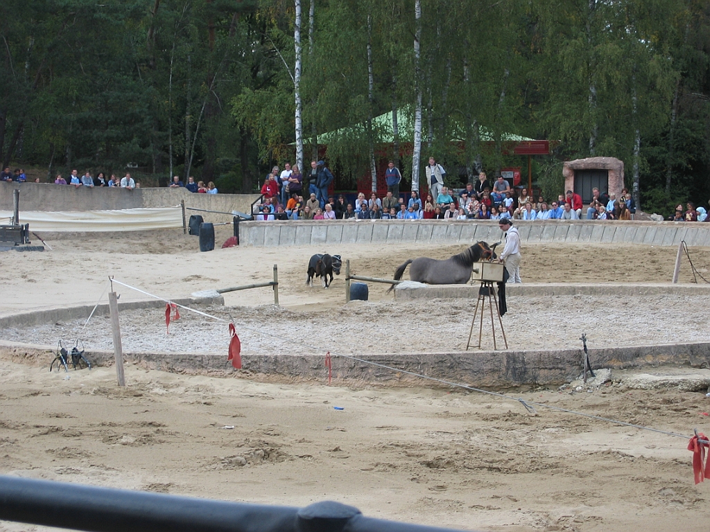 Show équestre 11.jpg